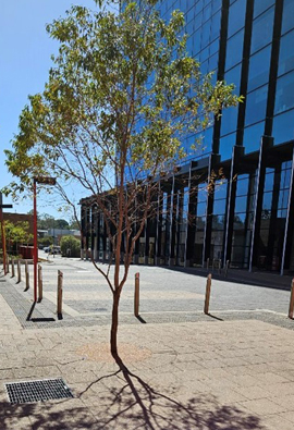 Car park off Verdun Street