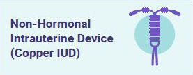 Non-Hormonal Intrauterine Device (Copper IUD)